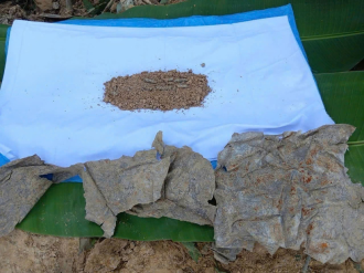 Five more sets of martyrs’ remains found in Laos, Cambodia